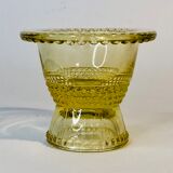 Glass cockroachs
