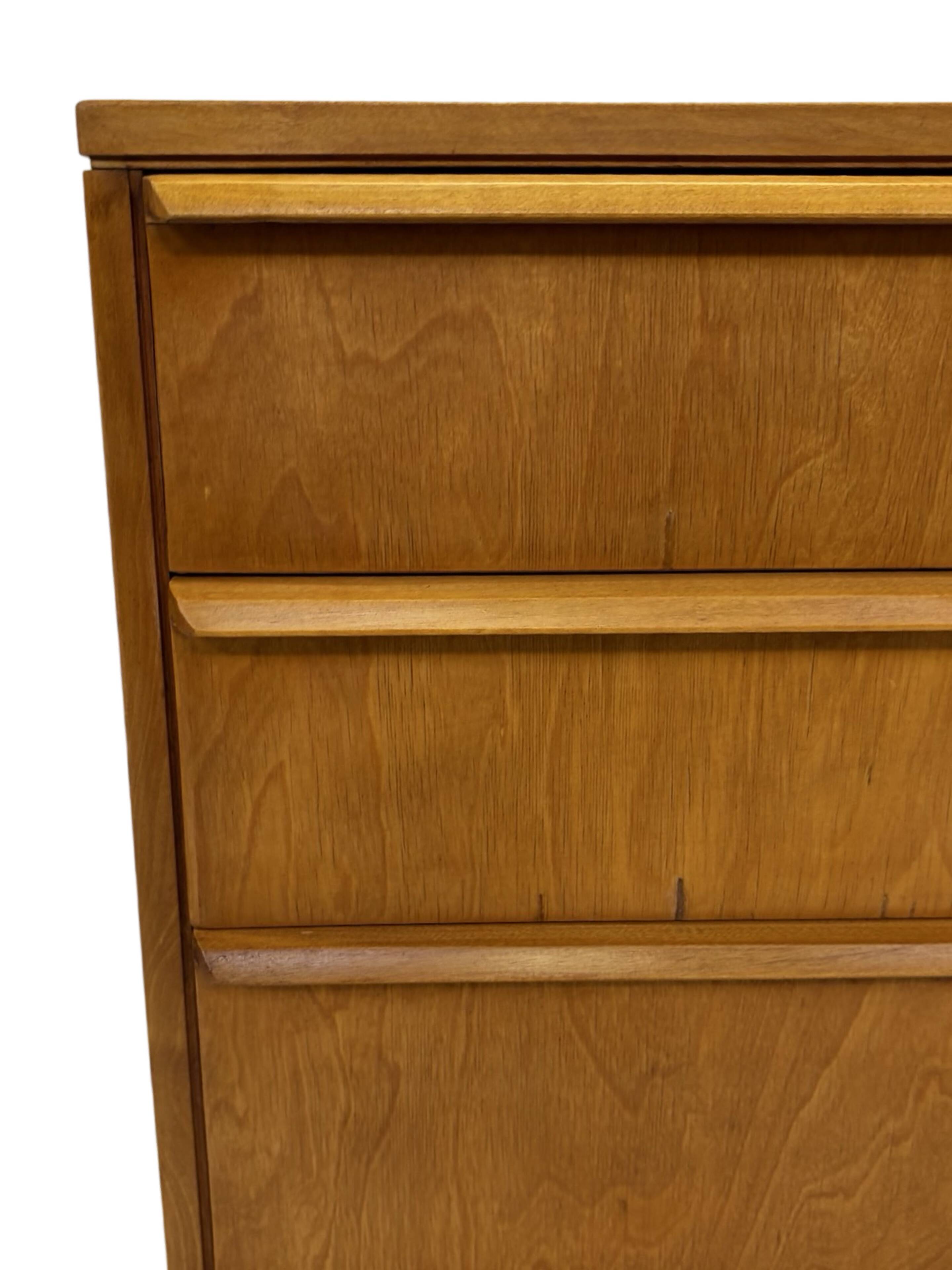 Vintage Pastoe Chest of Drawers Cees Braakman CB05 Dutch Design