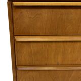 Commode à tiroirs vintage Pastoe Cees Braakman CB05 Dutch Design