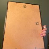 Old lithograph - Ptilinopus Edwingh