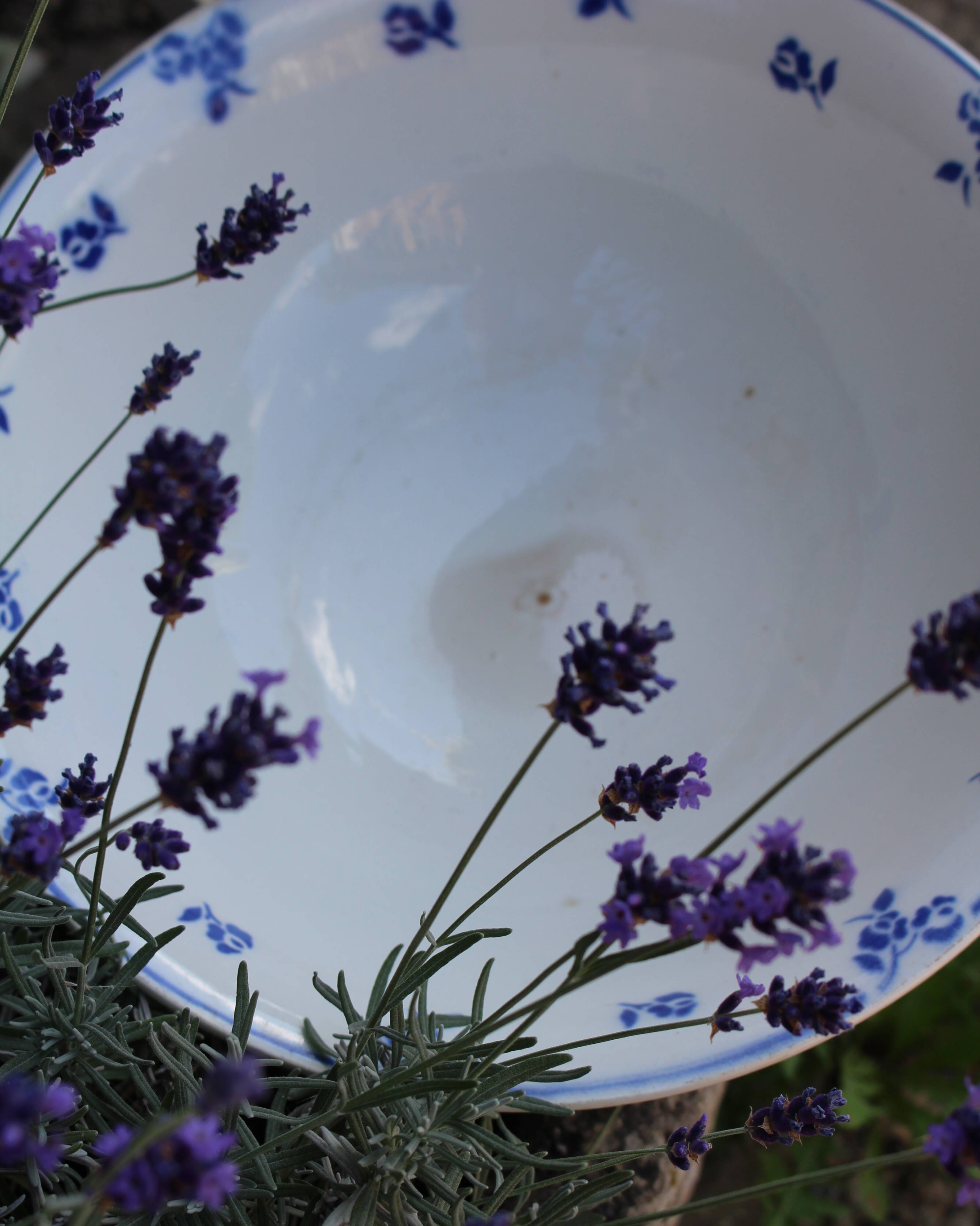 Blue salad bowl with Digoin Art Deco flowers