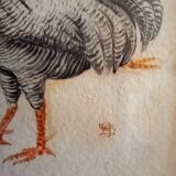 Coqs et poules