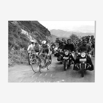 Photographie  "Jacques Anquetil et Raymond Poulidor" Tour de France 1964   15 x 20 cm