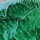 Gien vine leaf dessert plate in Vintage barbotine.