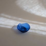 Coupelle coquillage bleue