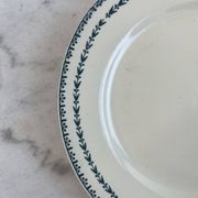Terre de fer assiette plate Sarreguemines Carlos