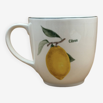 Fruit pattern mug (lemons & apricots)