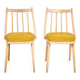 Set of two Vintage Chairs, Czechoslovakia, 1960s