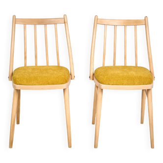 Set of two Vintage Chairs, Czechoslovakia, 1960s