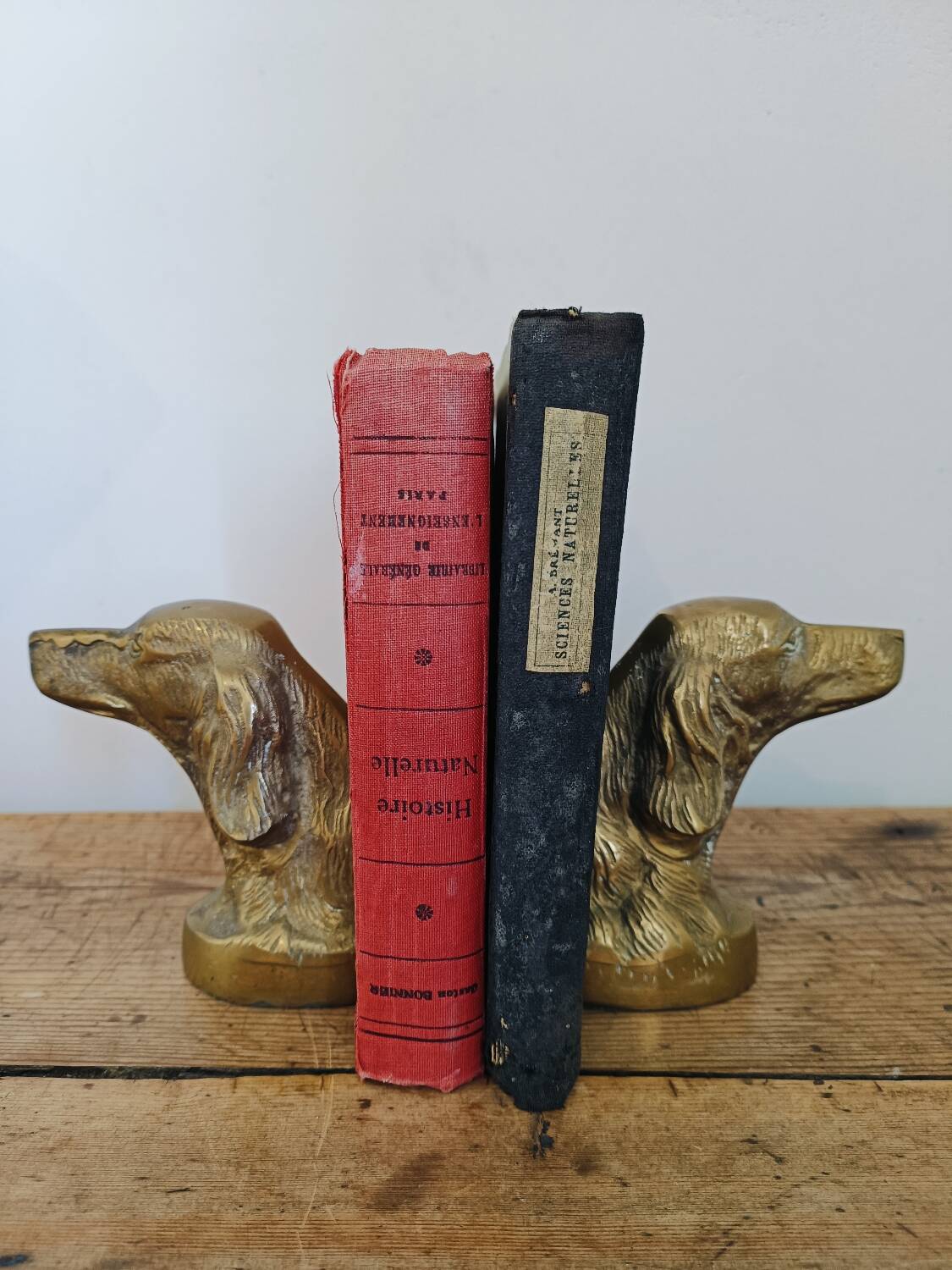 Dog bookends