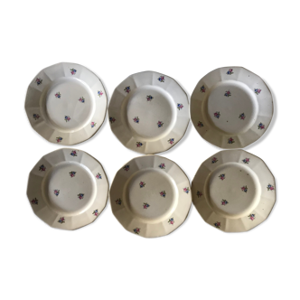 6 digoin flat plates