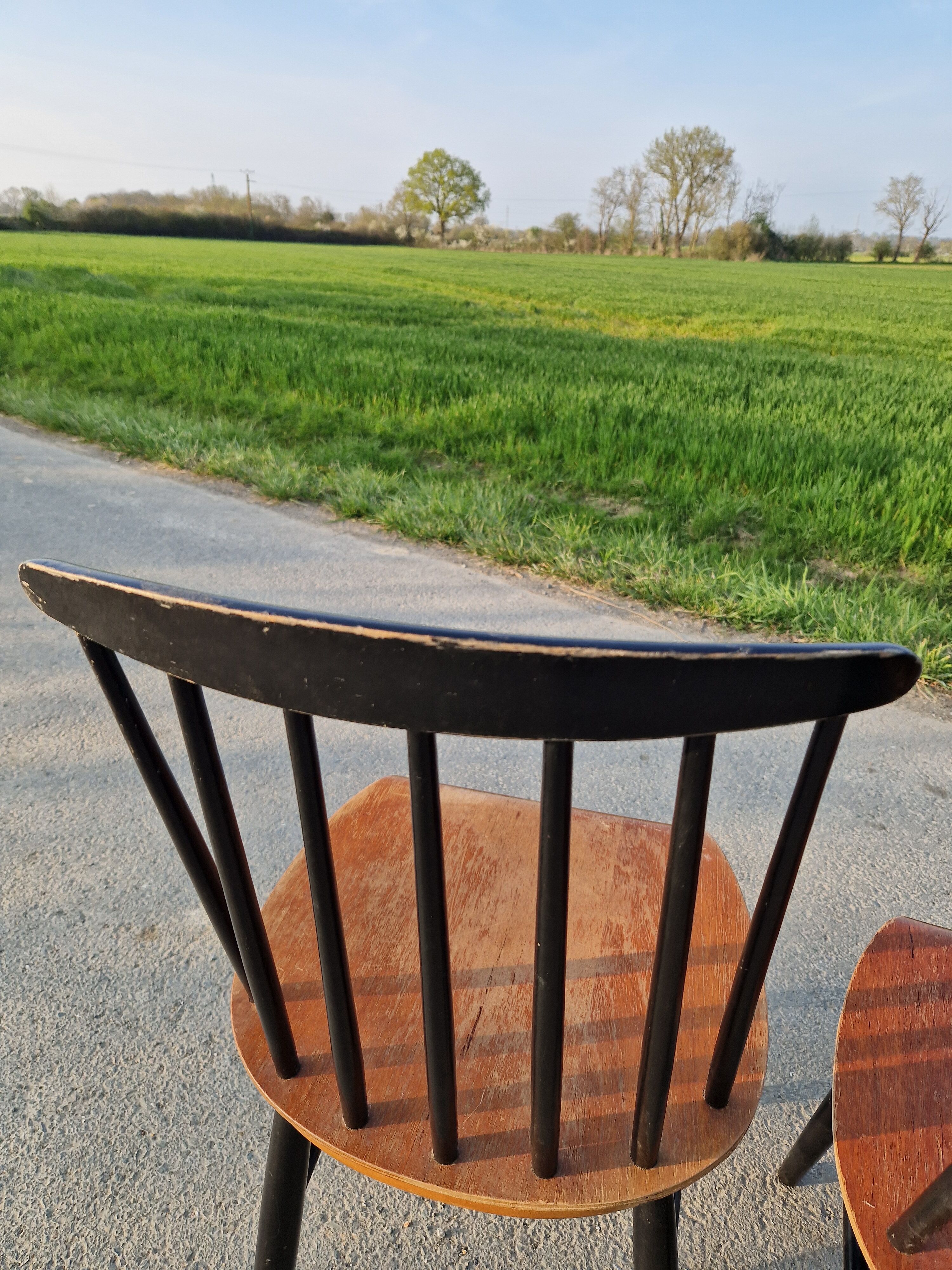 Set of 6 Fannett Scandinavian chairs by Ilmari Tapiovaara 1960.