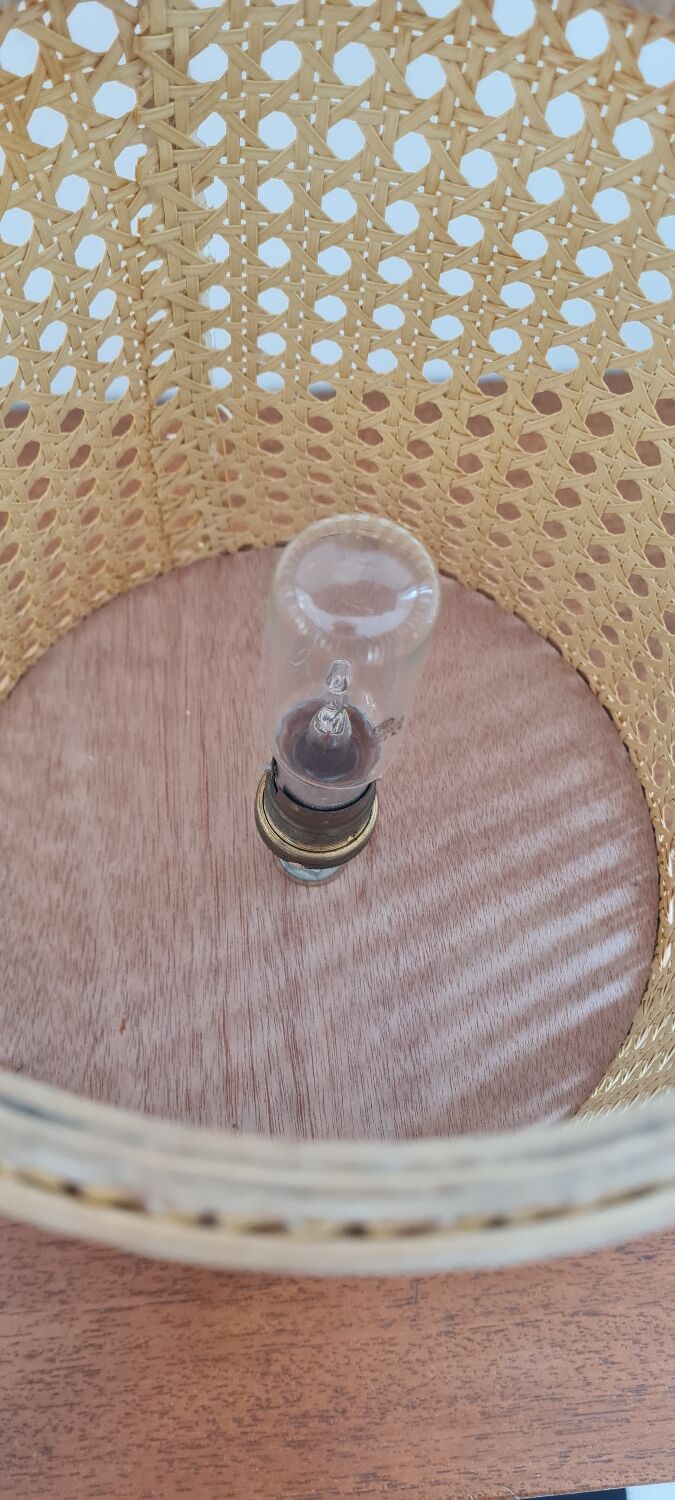 Rattan table lamp and canning