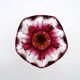 Organic Art Vase Josef Hospodka - Sommerso Ruby/Mandarin