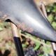 Bronze bird sculpture, signed and numbered, vintage.