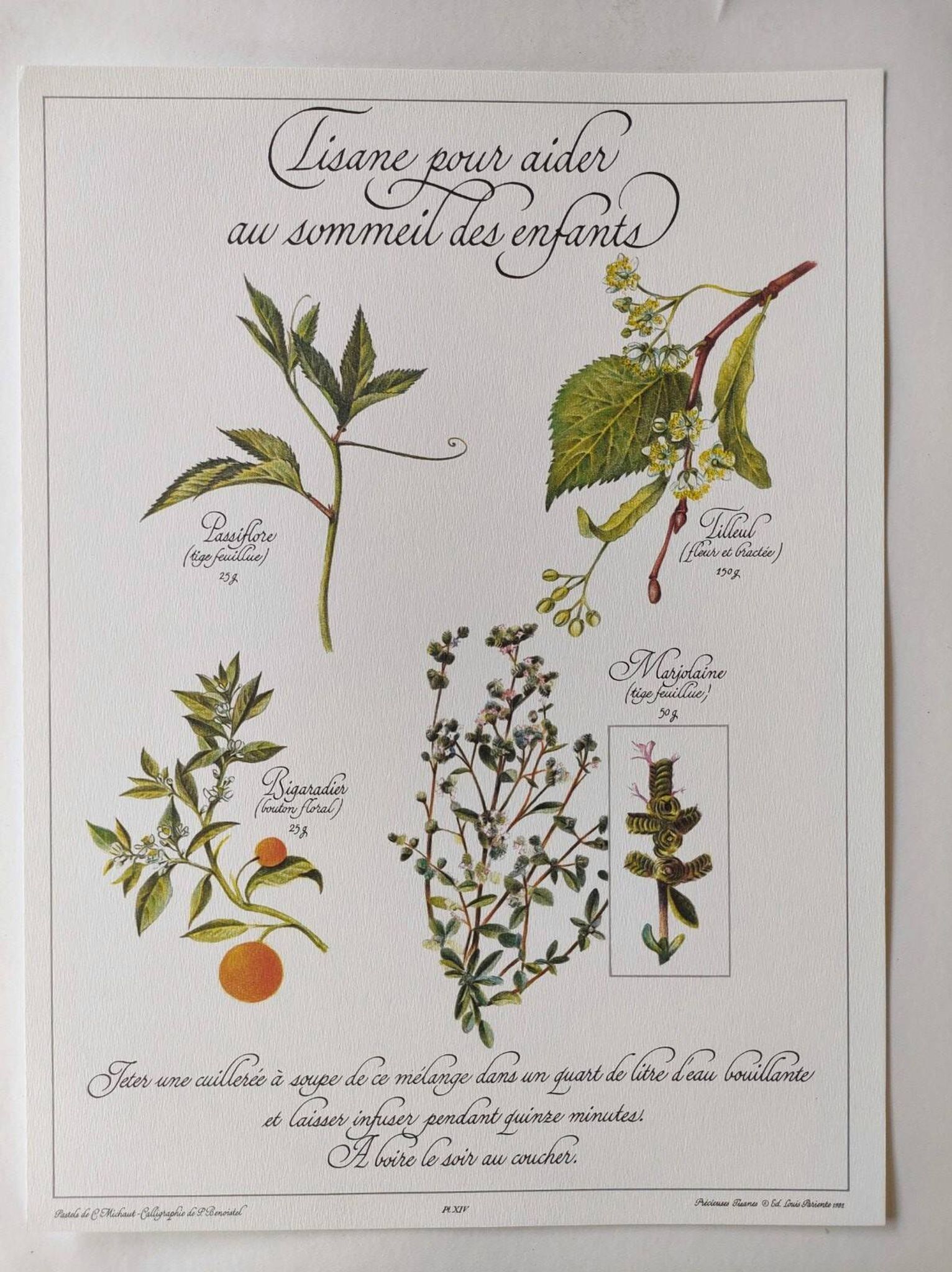 Botanical illustration -Herbal tea to help sleep- Engraving of medicinal plants and herbs