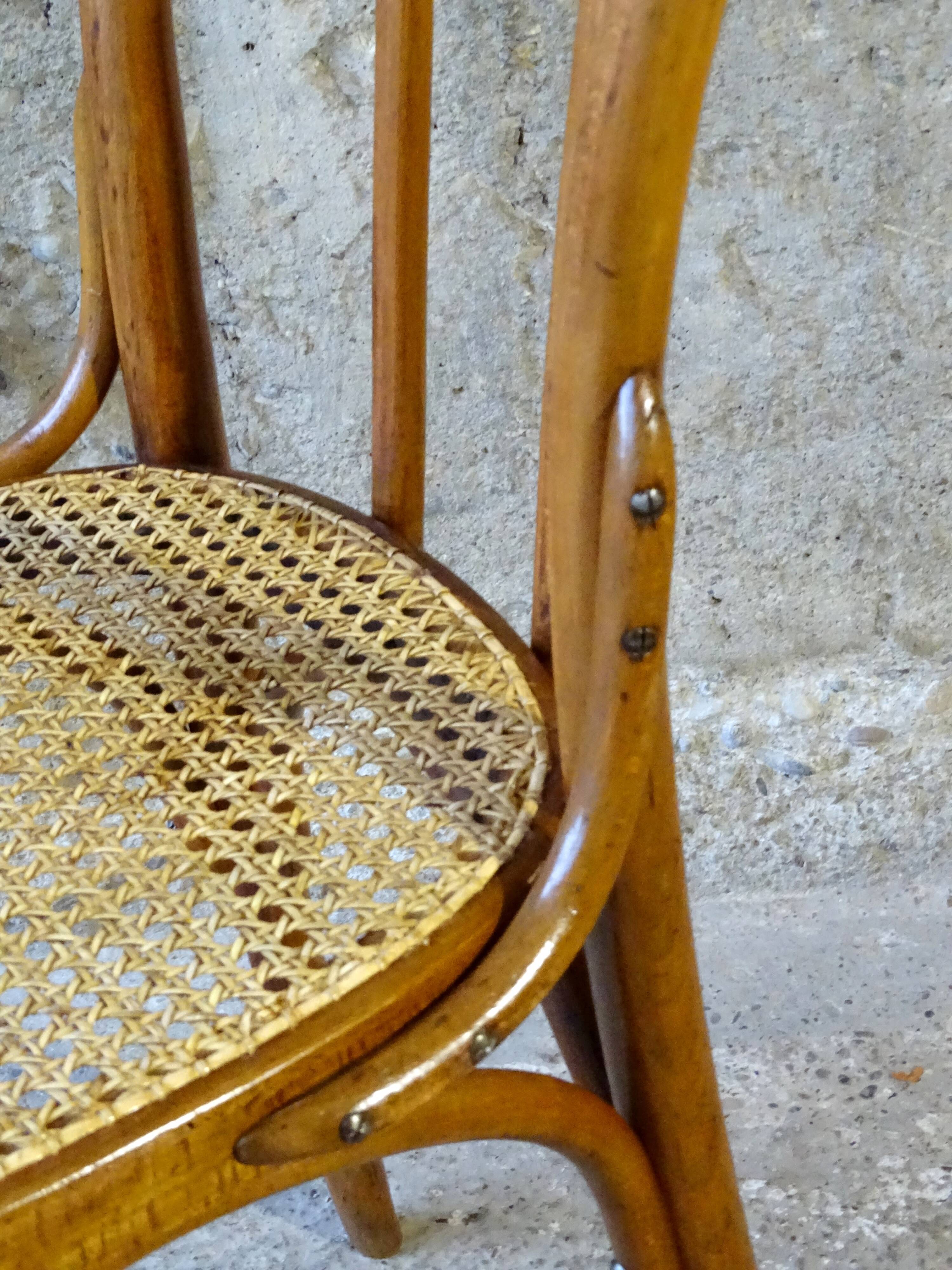 Canned bistro chair Fischel N°113, circa 1925