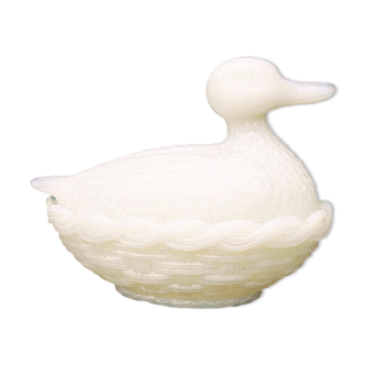Duck with white opaline nest candy