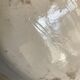 19th-day polished earth dish with godrons