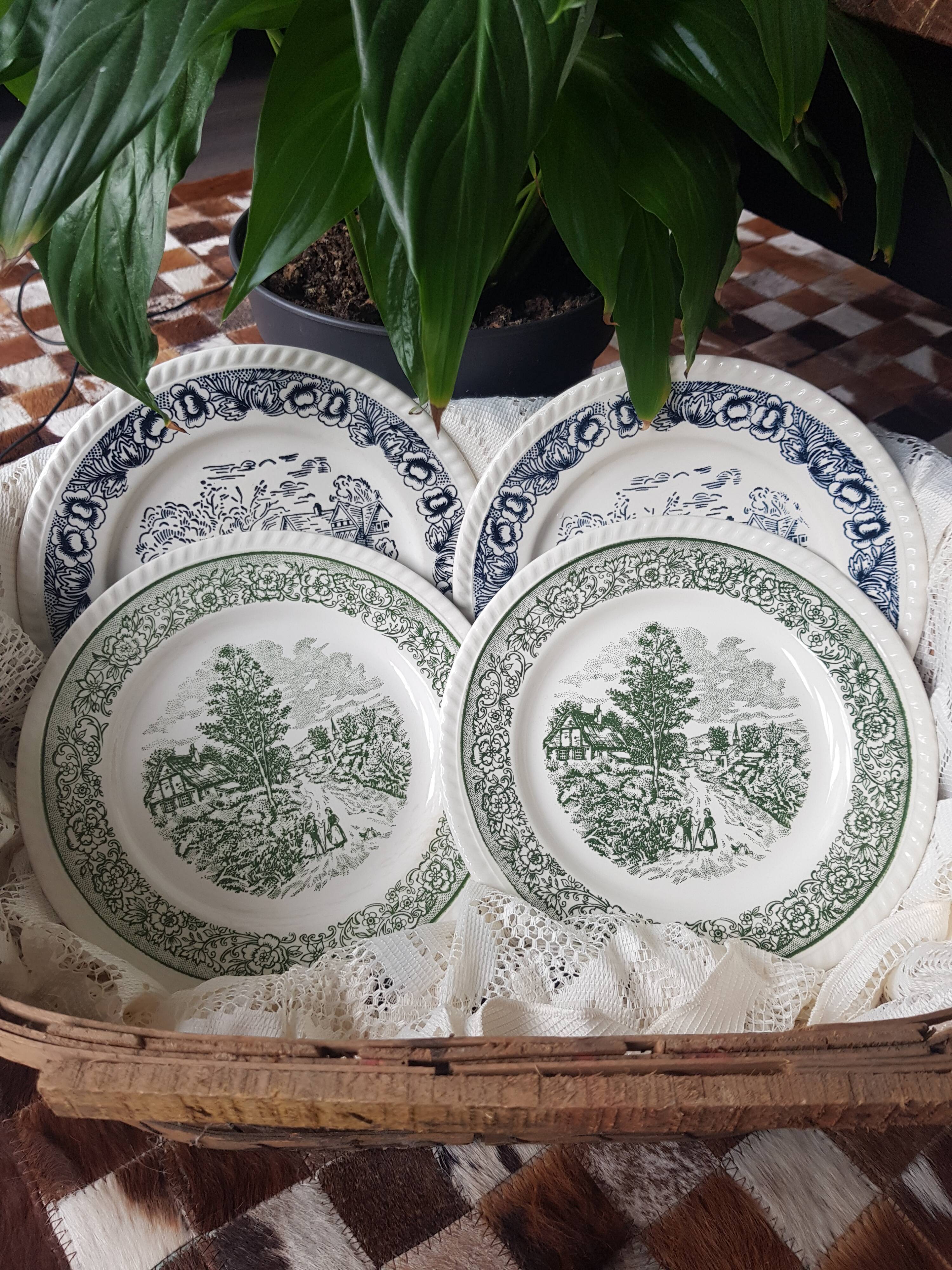 Lot de 4 assiettes plates vertes et bleues