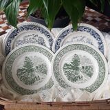Set of 4 flat green and blue plates