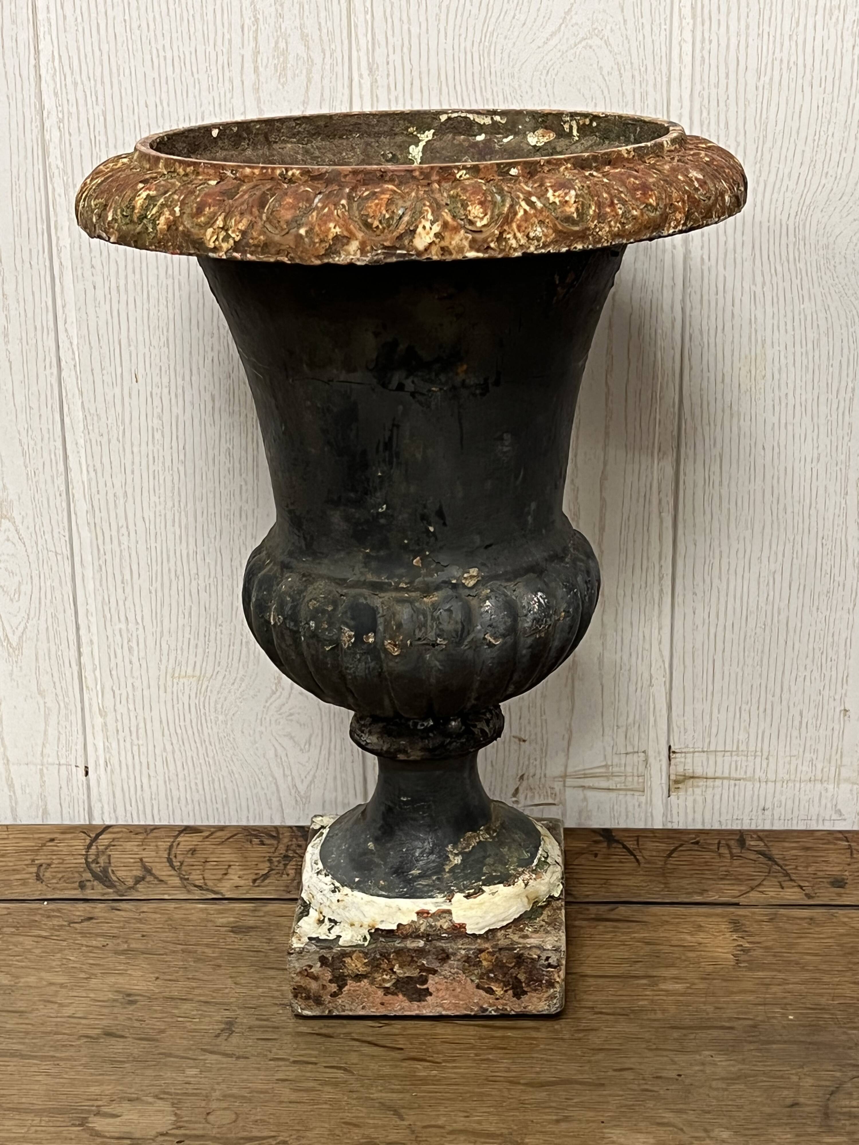 Pair of Medici vases