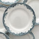 6 antique ironstone dinner plates "Lucy" Saint Amand