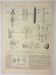 Gravure ancienne 1922 - Anatomie des insectes