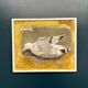 Original Swedish Oil on Canvas – “Seagull” by Ingeborg Stragnell – Signed