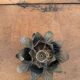 Lotus flower candle holders