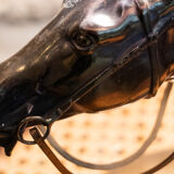 Lamp with a horse's head