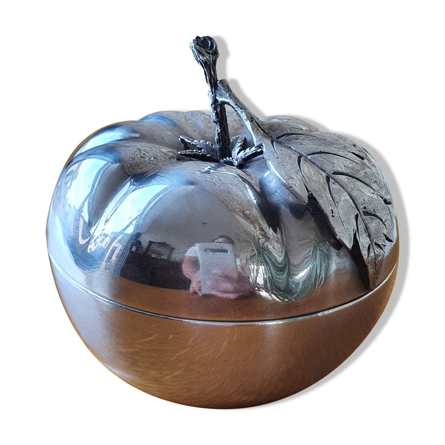 Empty silver metal pocket