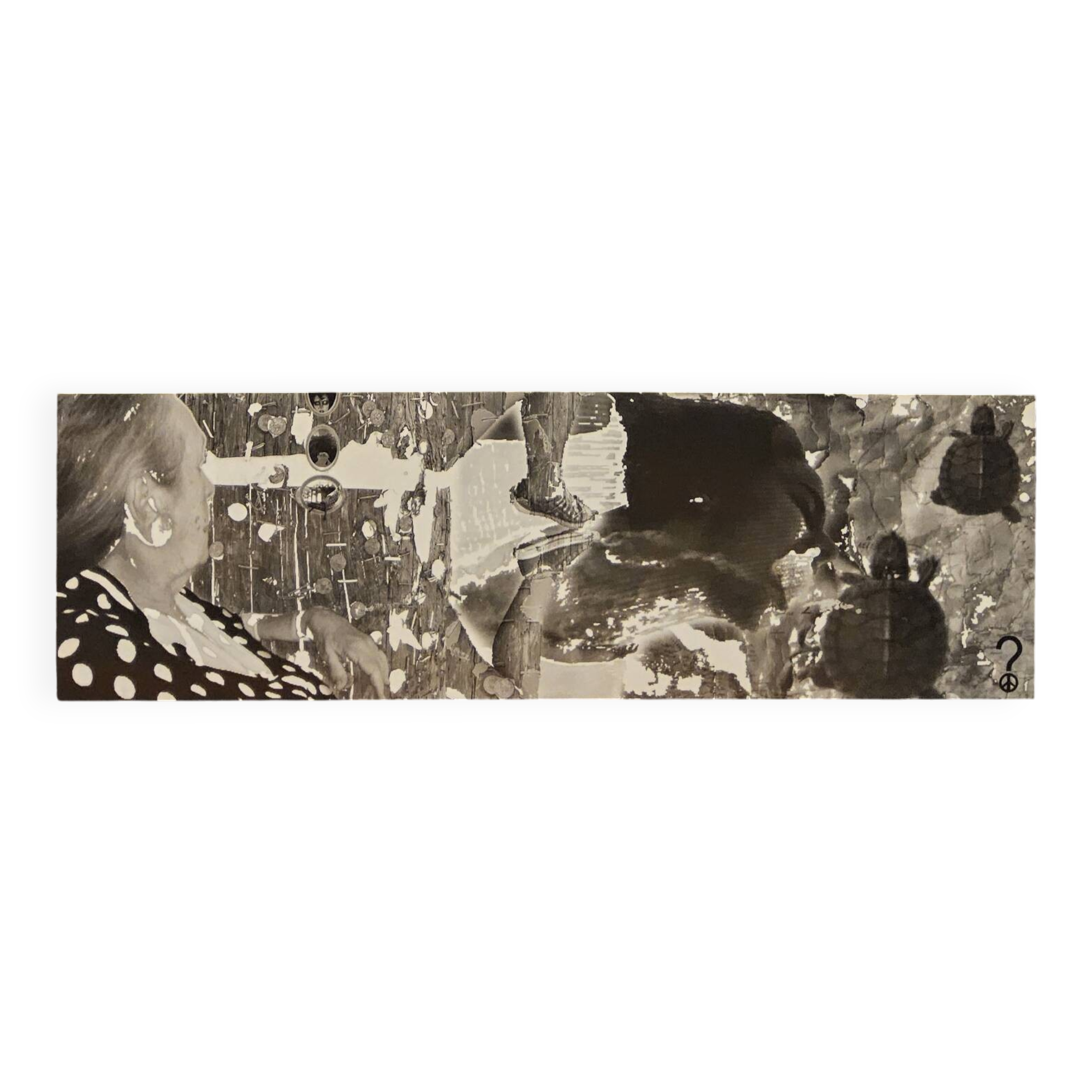 Grandes œuvres d'art en noir et blanc / collage photo (160x50) tortue