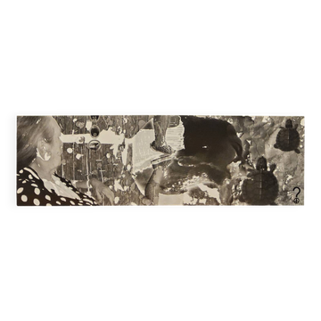 Large black and white artworks / photo collage (160x50)
turtle