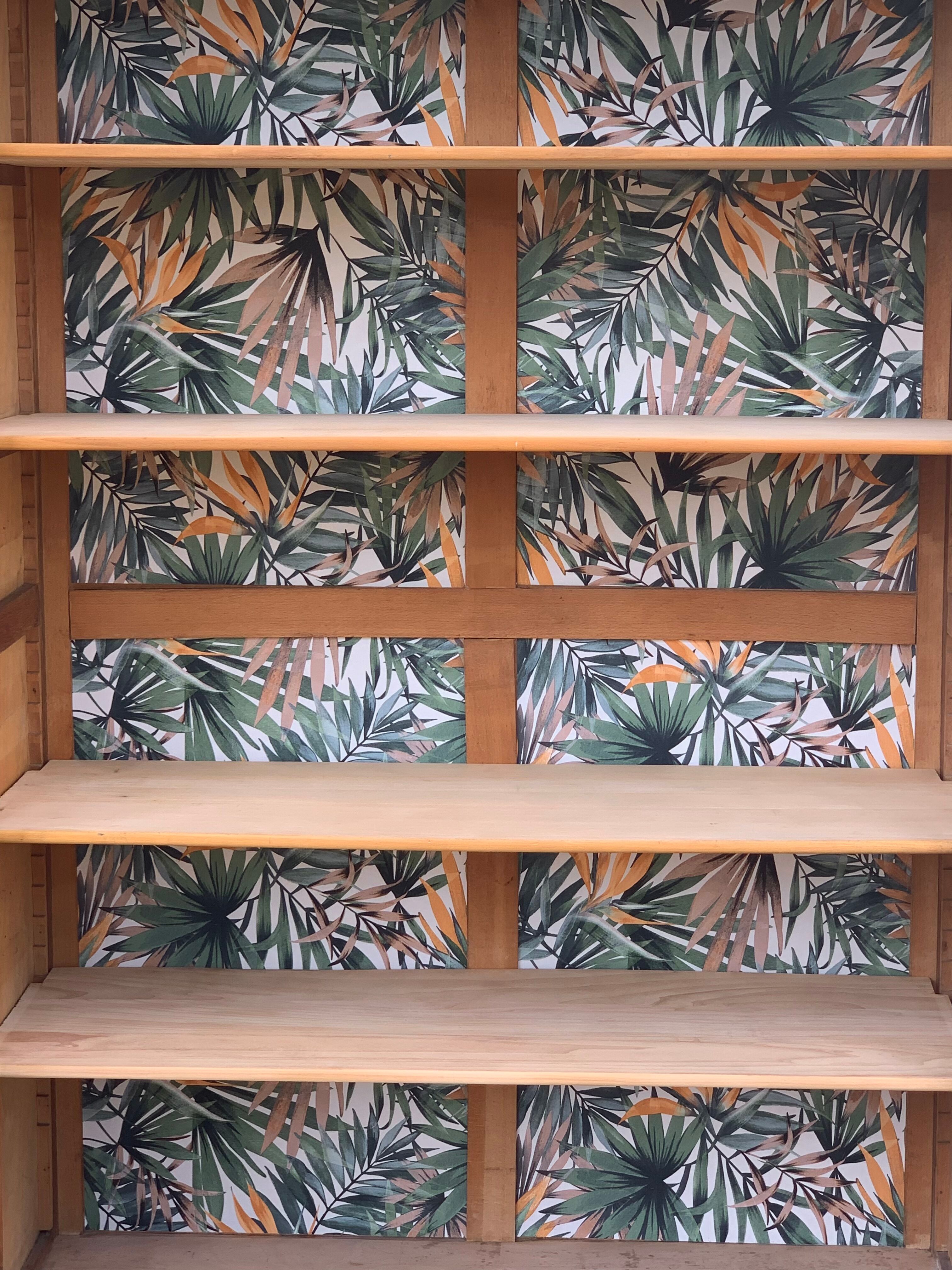 Glass cabinet from a primary school, 1950.