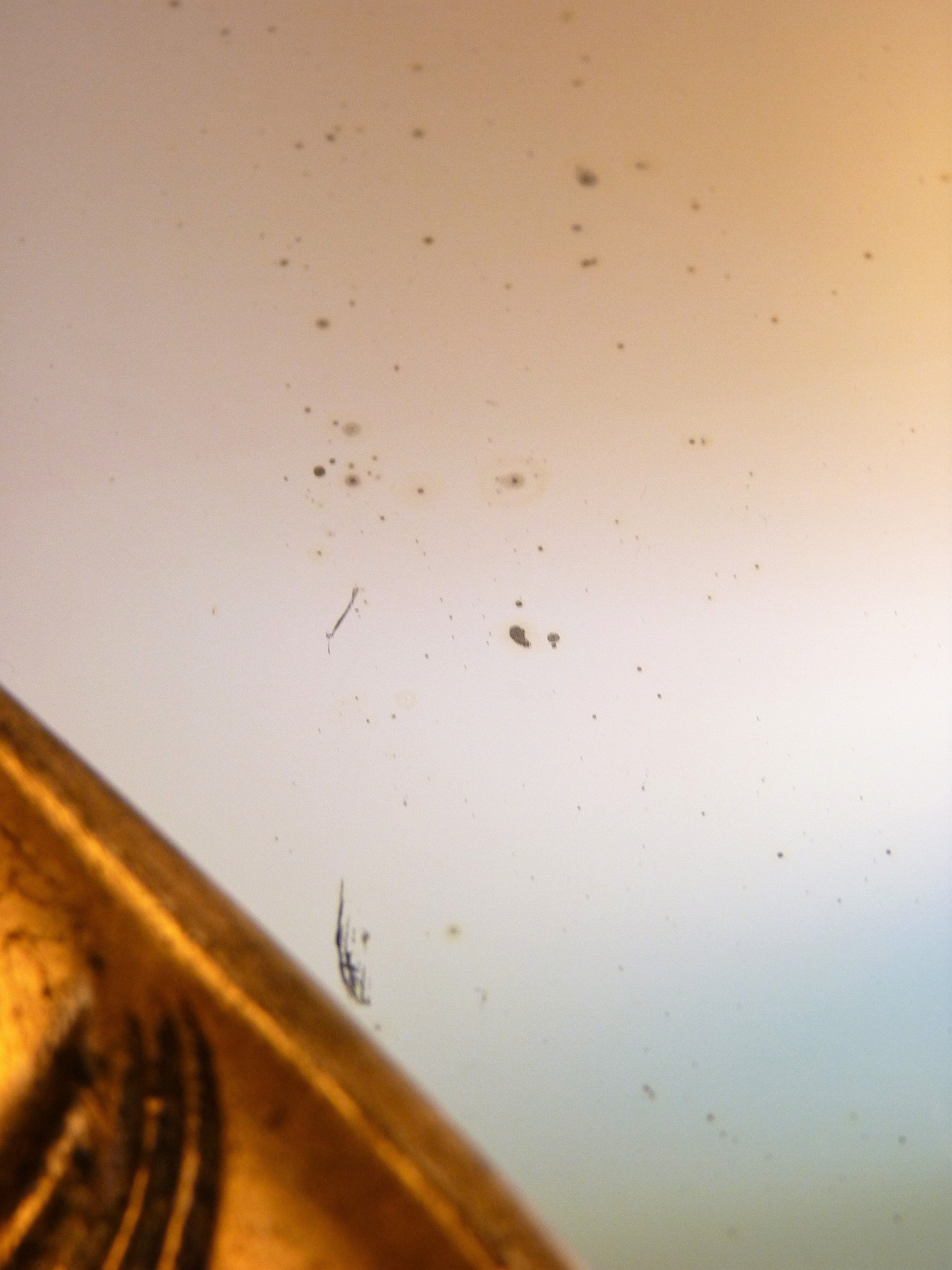 Small Golden Mirror Moulding