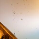 Small Golden Mirror Moulding