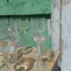 Chinon Rabelaisian glasses – Touraine – vintage glassware