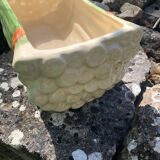 Asparagus serving dish