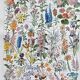 Old illustration Millot "flowers"