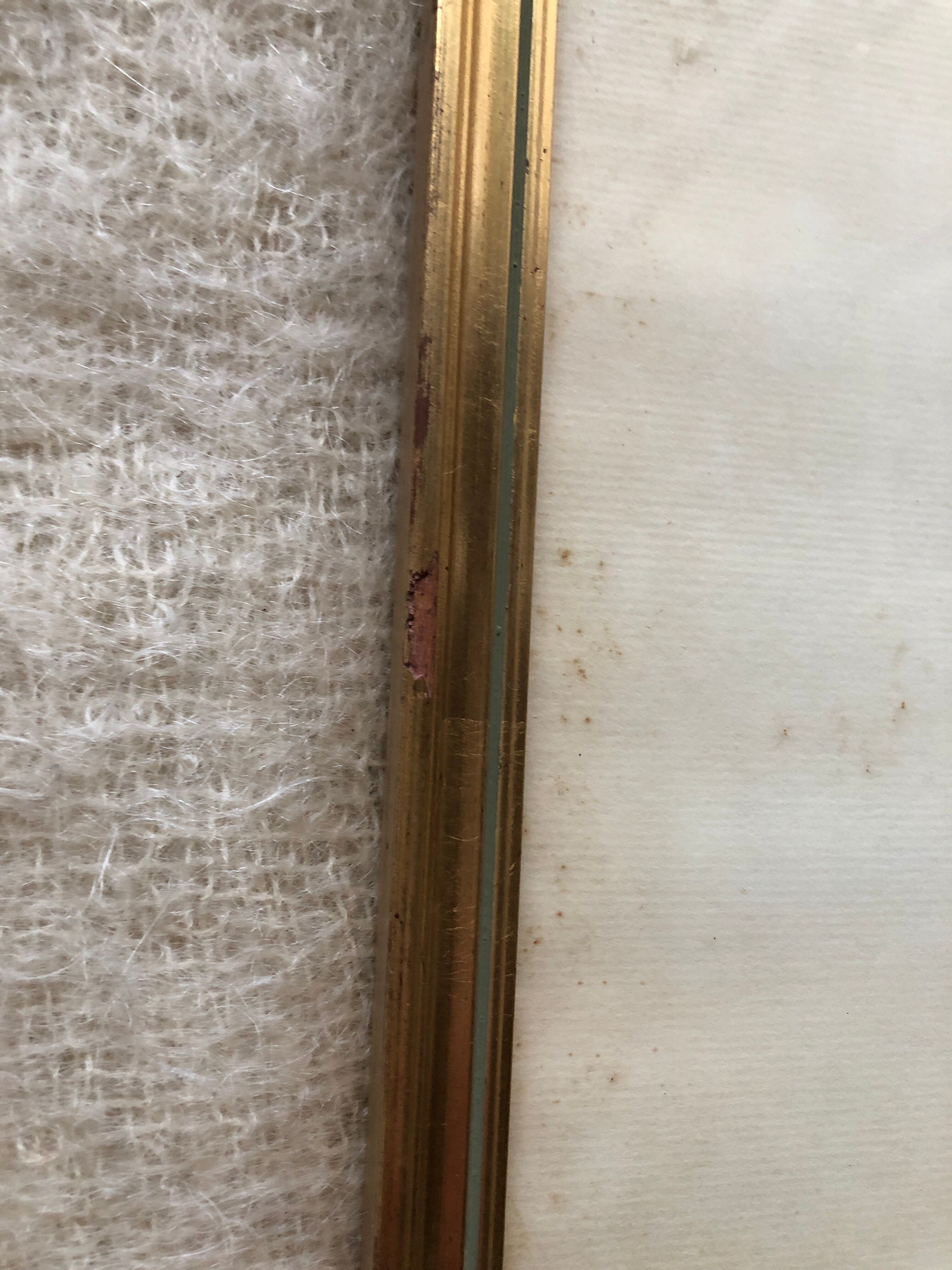 Engraving under glass "Blue Jay"