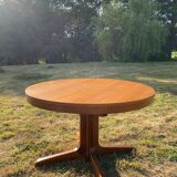 Table baumann year 60