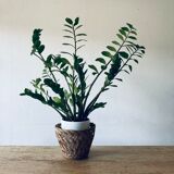 Cache pot vintage