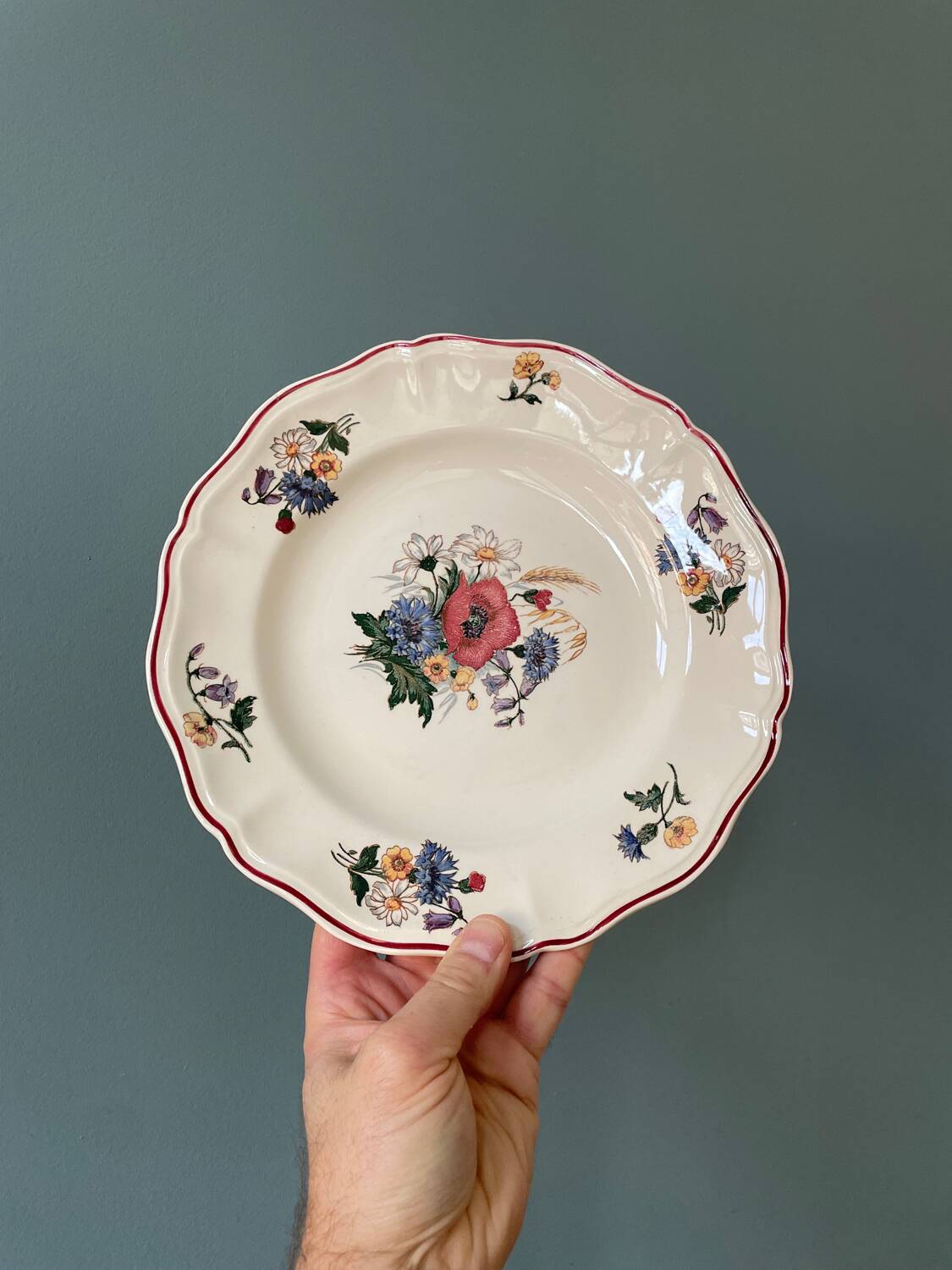 Series of 14 Sarreguemines France flat plates, Agreste collection