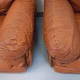 Pair of vintage Coquelicot lounge chairs by Tito Agnoli for Poltrona Frau in leather from the 70s