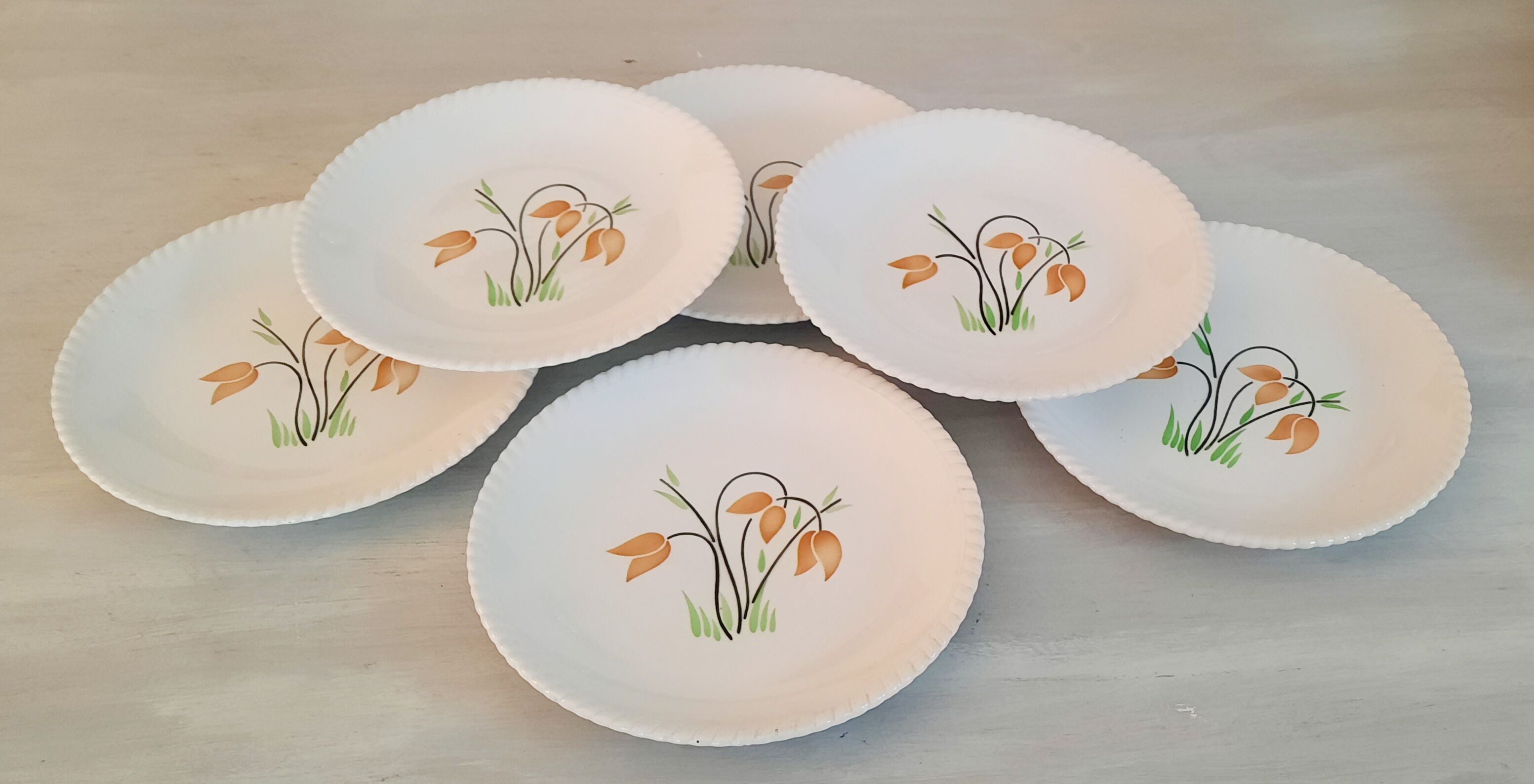 Badonviller Lunéville k&g flat faience plates vintage tulip decor