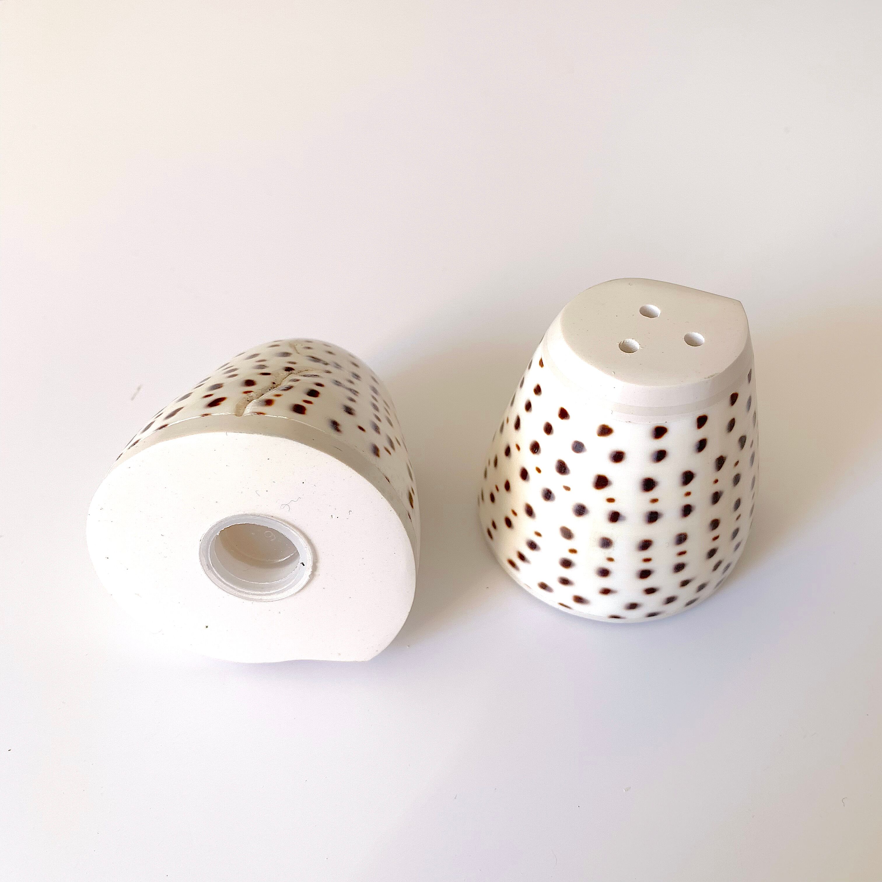 Salière poivrière en coquillage vintage