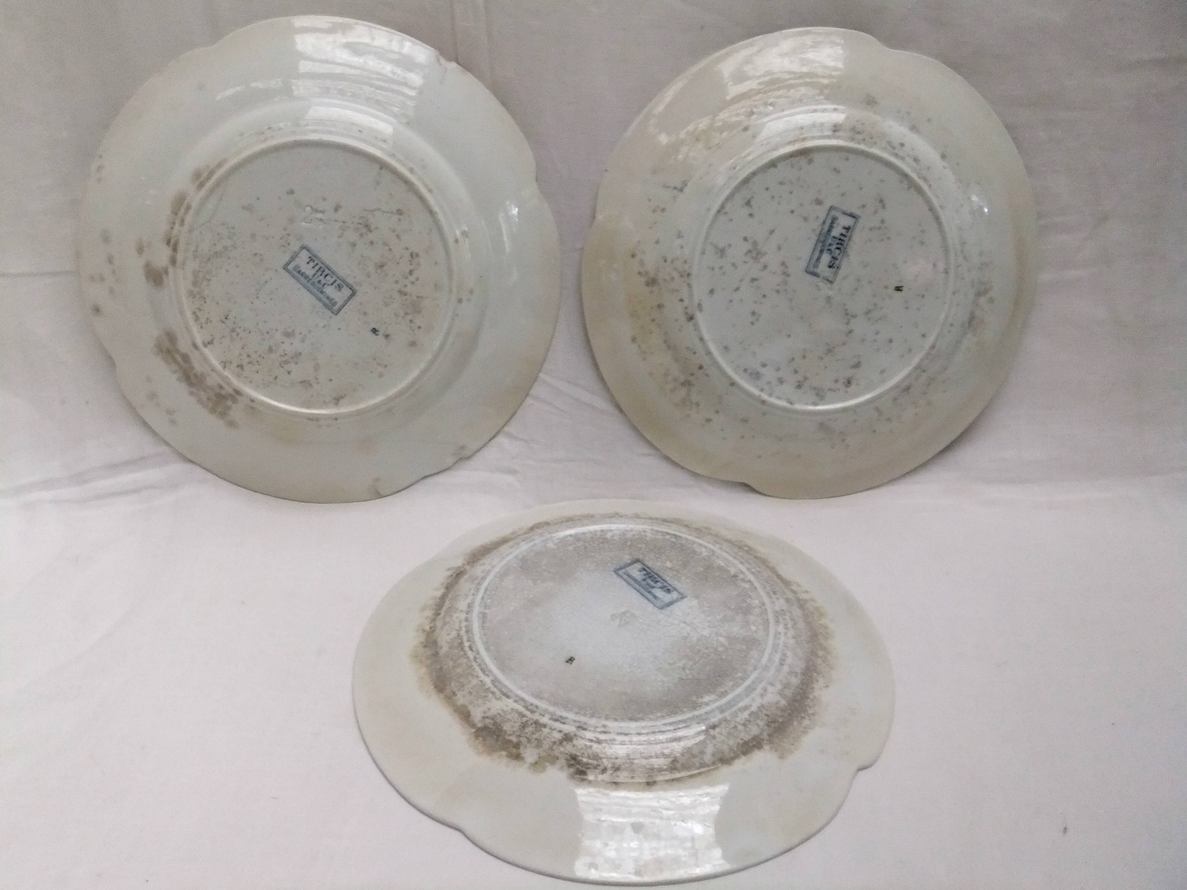 Sarreguemines Tircis barbotine art nouveau plate collection