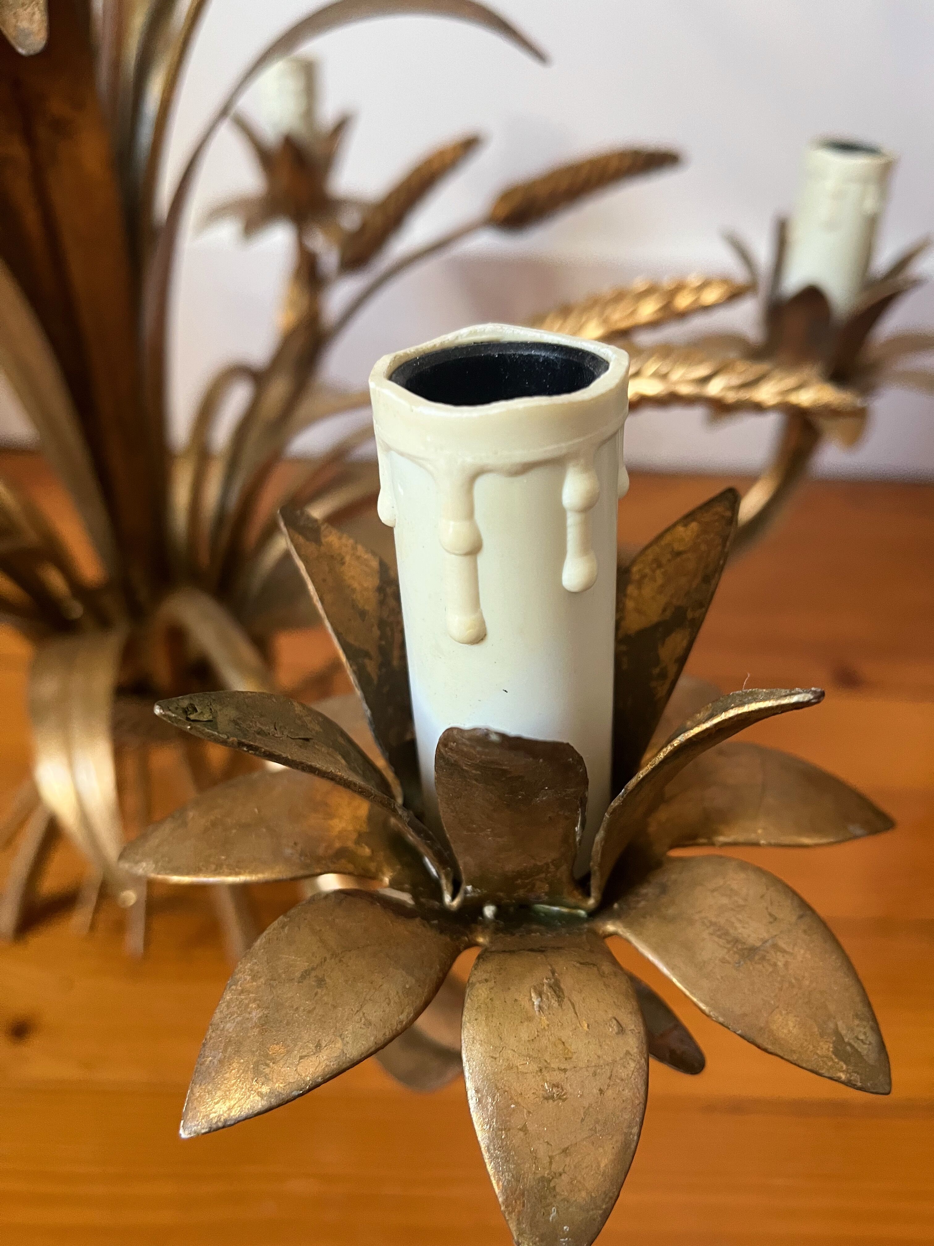 Golden wheat coat luster