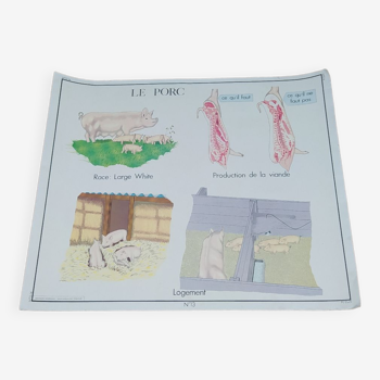 Carte scolaire Editions Rossignol